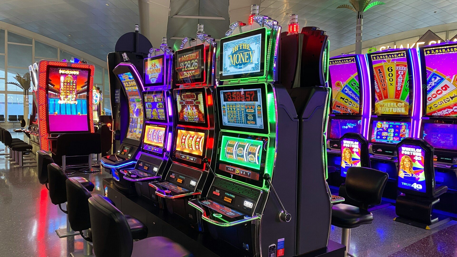 Jaké hry najdu na Pelican Casino?